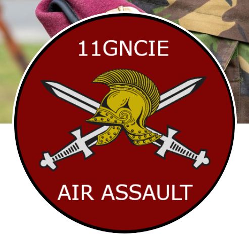 logo van 11 Geniecompagnie Air Assault 
